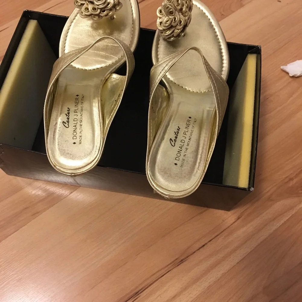 COPY - Donald J Pliner Sandal